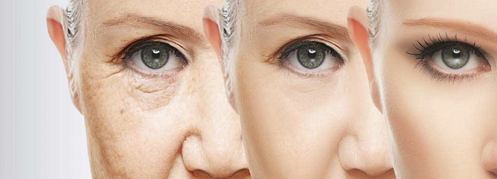 Biomarcadores Envelhecimento