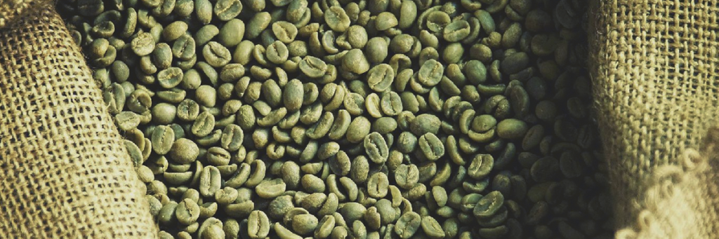 cafe-verde-saiba-mais-sobre-ele-blog-nutrify