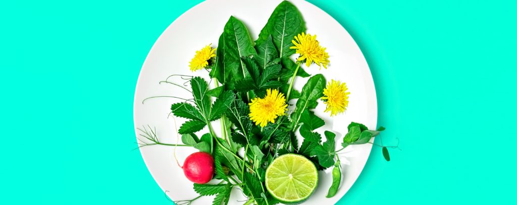 flores-comestiveis-beneficios-delas-em-sua-dieta-blog-nutrify