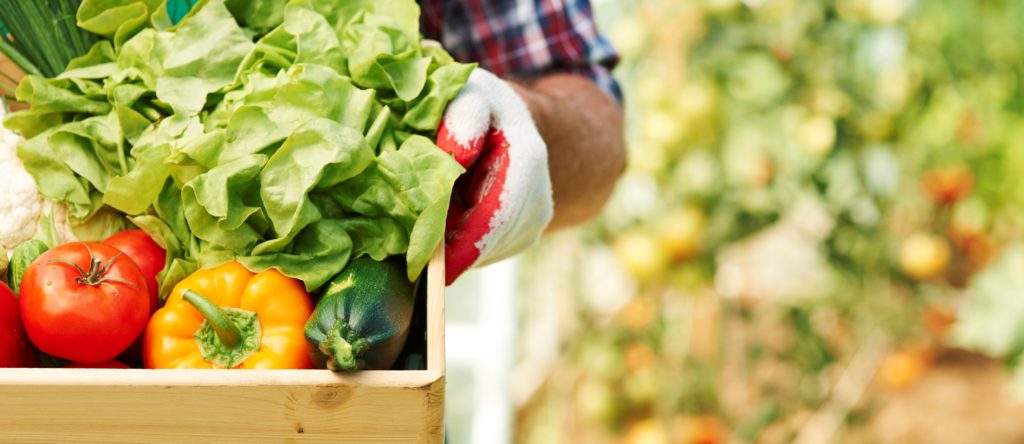 alimentos-organicos-mais-natureza-menos-aditivos-blog-nutrify