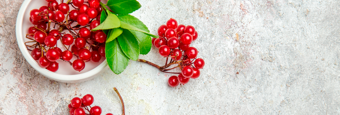 Relação da suplementação de Cranberry na profilaxia da infecção urinária | Blog Nutrify