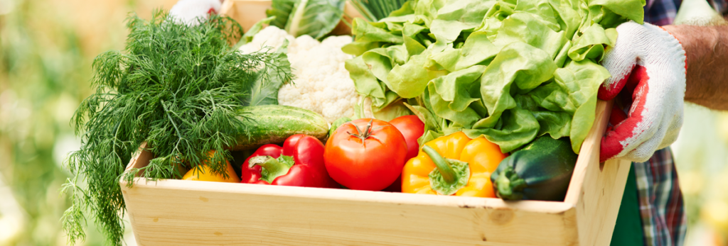 beneficios-dos-alimentos-organicos-blog-nutrify