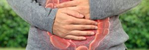 Como funciona o intestino? | Blog Nutrify