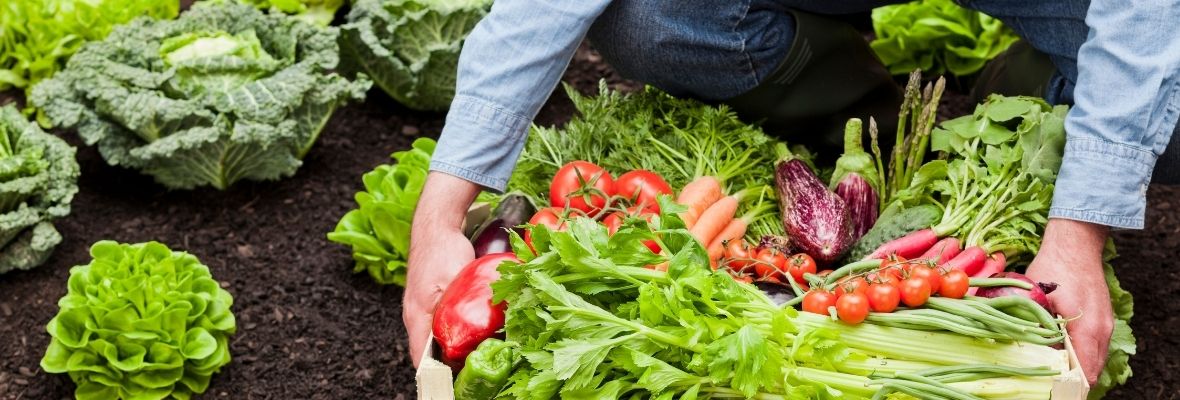 Benefícios dos alimentos orgânicos | Blog Nutrify