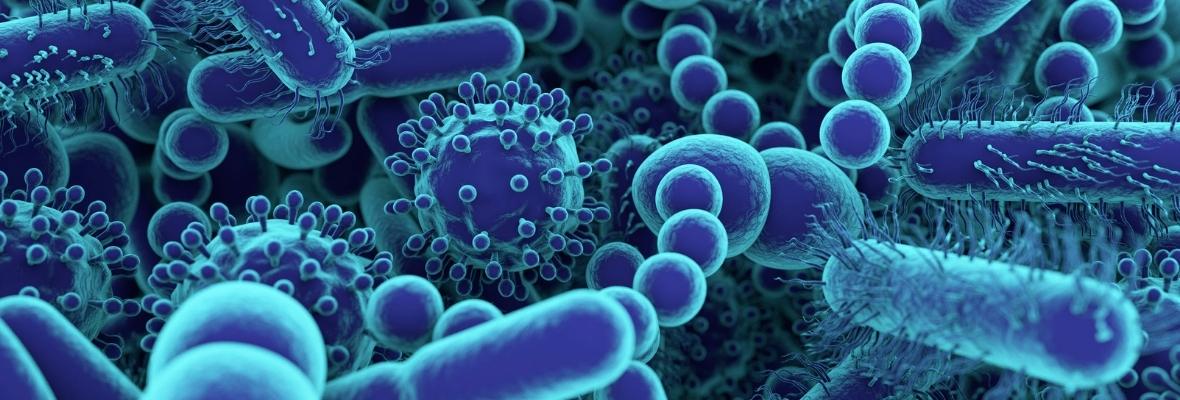 Relação entre Microbiota e Cândida | Blog Nutrify