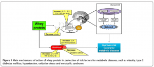 Será que Whey Protein é só para quem pratica esporte? | Blog Nutrify