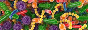 Colágeno e seu papel na redução de inflamações e saúde da Microbiota | Blog Nutrify