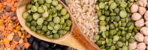 Proteínas vegetais: Propriedades nutricionais e aplicabilidades práticas | Blog Nutrify