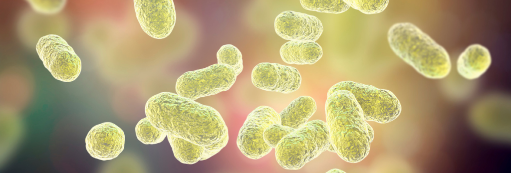 Como manter uma Microbiota saudável? | Blog Nutrify